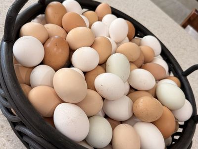 Fresh Farm eggs