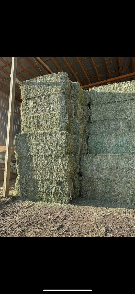 2026 HORSE QUALITY ALFALA 3X4 BALES
