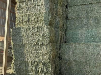 2026 HORSE QUALITY ALFALA 3X4 BALES