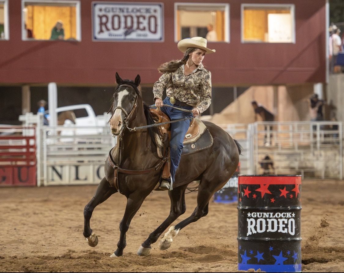 AQHA 5 year old Gelding