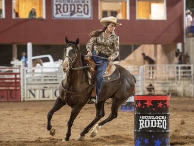 AQHA 5 year old Gelding