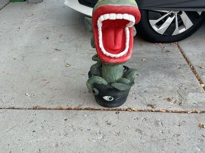 Halloween Pihrana plant