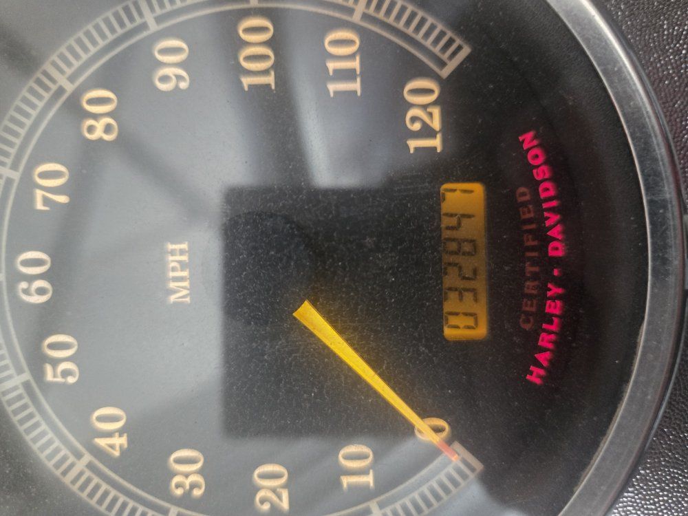 Harley fatty for sale