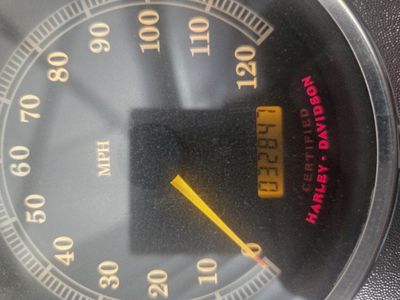 Harley fatty for sale