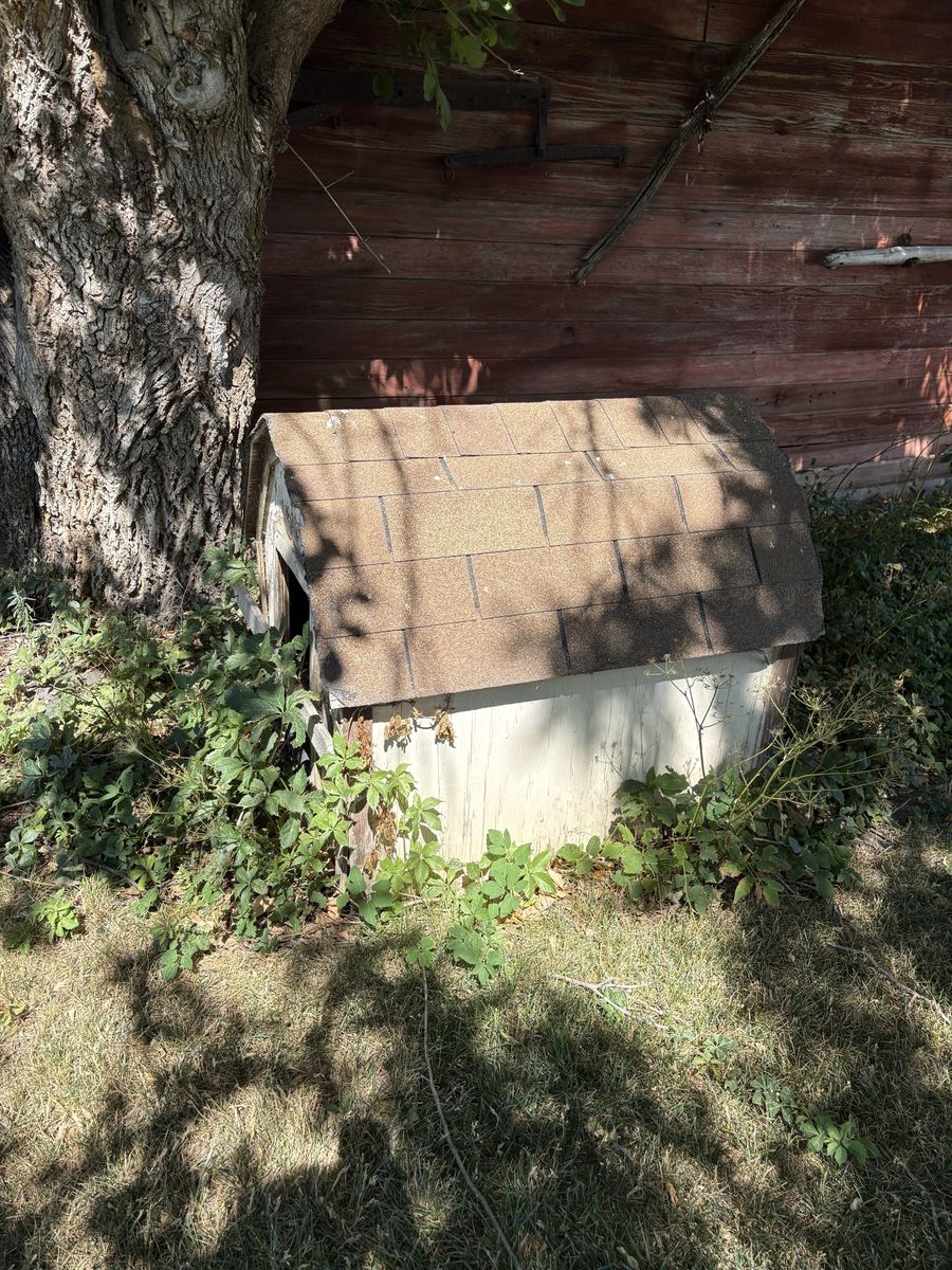 Main image 2