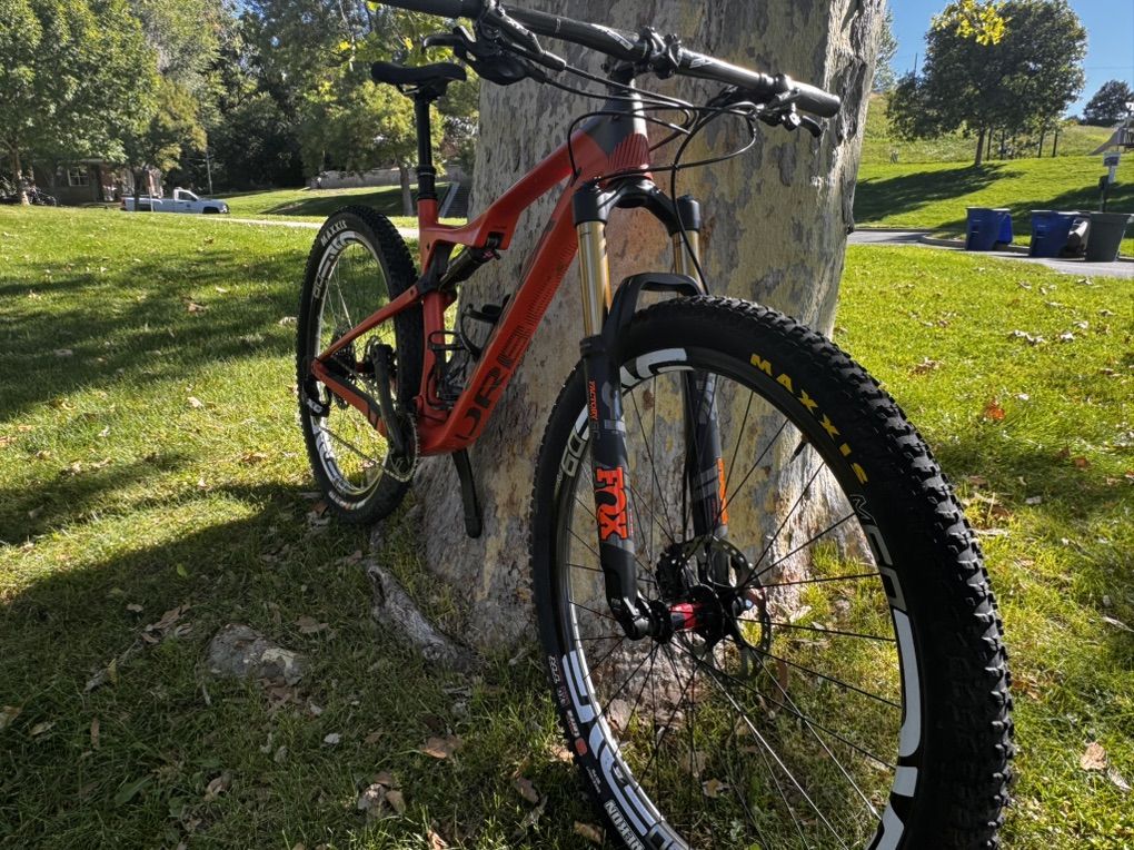 Orbea Oiz m-Team - large