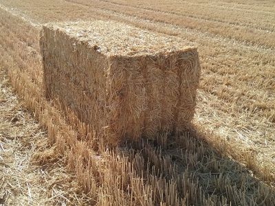 3X3X7+ Soft White Wheat Straw