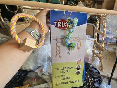 Small pets: bridge/Toy
