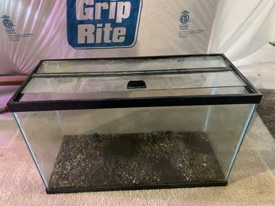 Used 30-Gallon Glass Aquarium Fish Tank with Lid