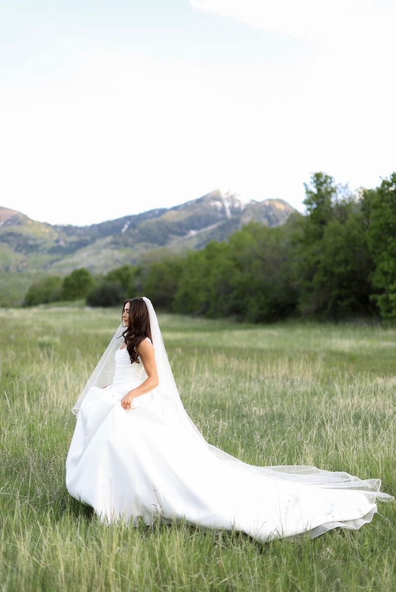 Alta Moda Bridal Gown Wedding Dress Size 4 Basque Waist Extra-Long Train w/ Blusher Veil