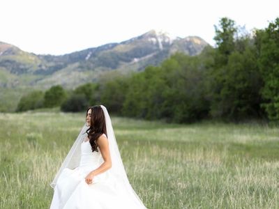 Alta Moda Bridal Gown Wedding Dress Size 4 Basque Waist Extra-Long Train w/ Blusher Veil