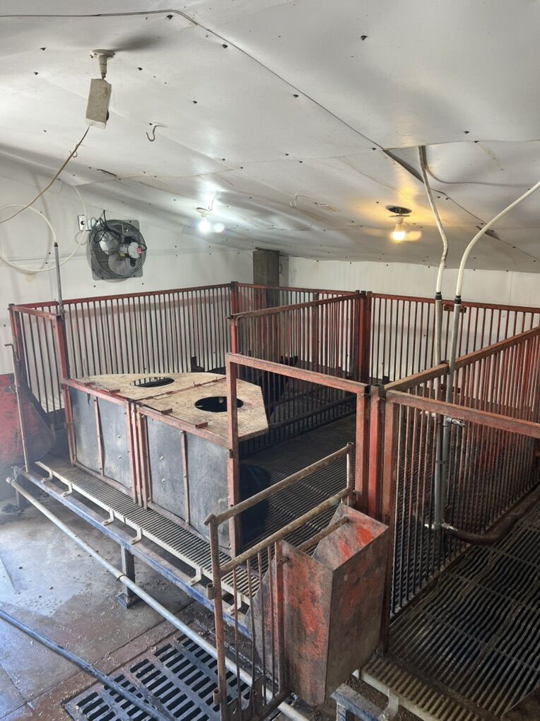 Sow Joy Farrowing Pen