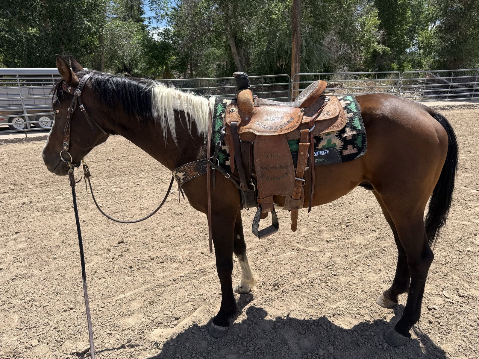 Horse