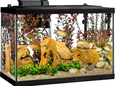 Tetra 20 Gallon Complete Tropical Fish Tank Kit