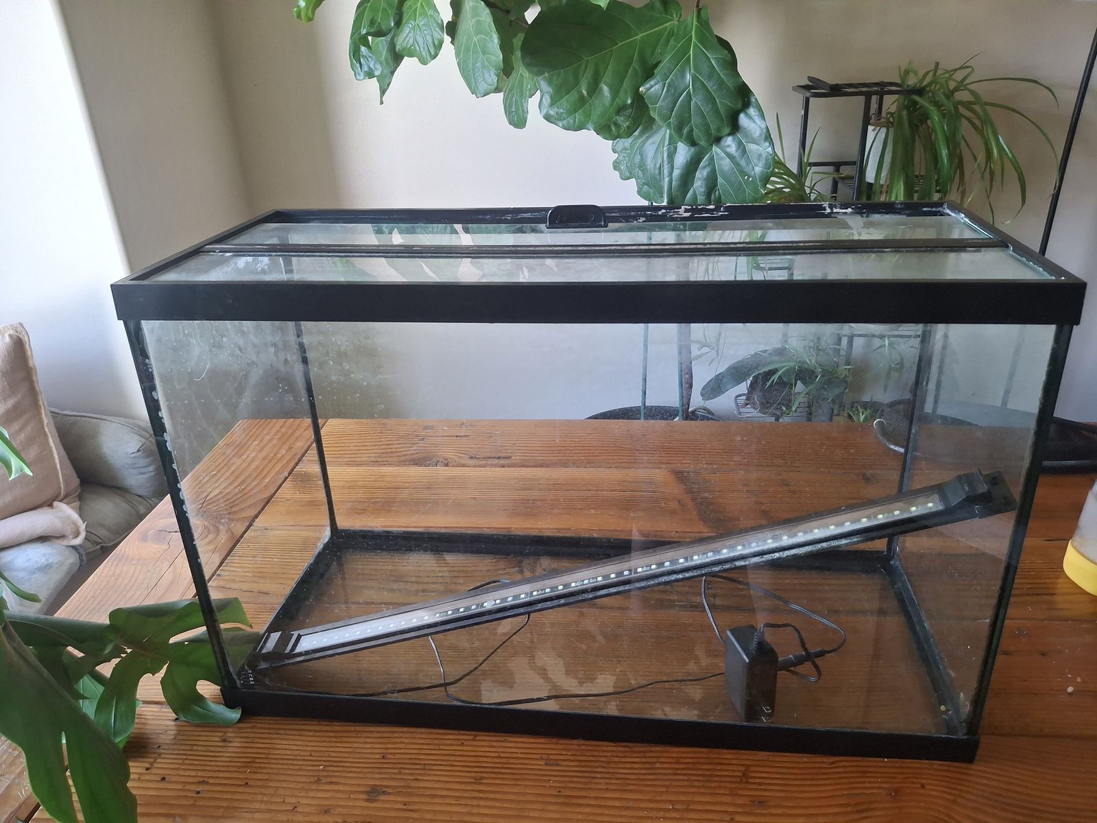 30 gallon tank free