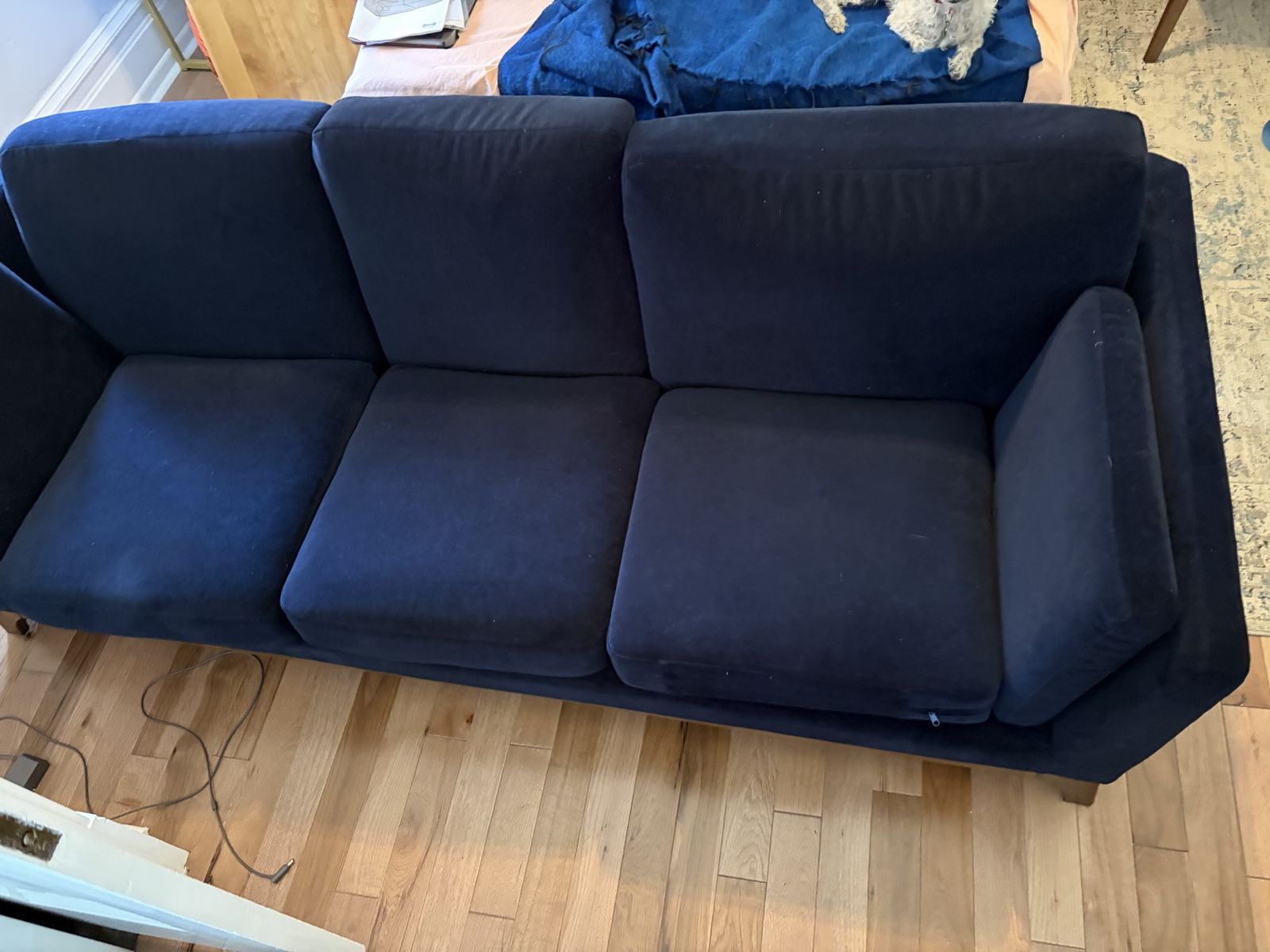 Article Ceni sectional in Gorgeous Deep Sea Blue Velvet