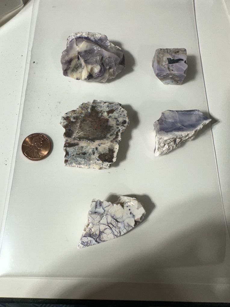Main image 15