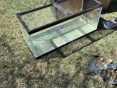 Large Glass Tank