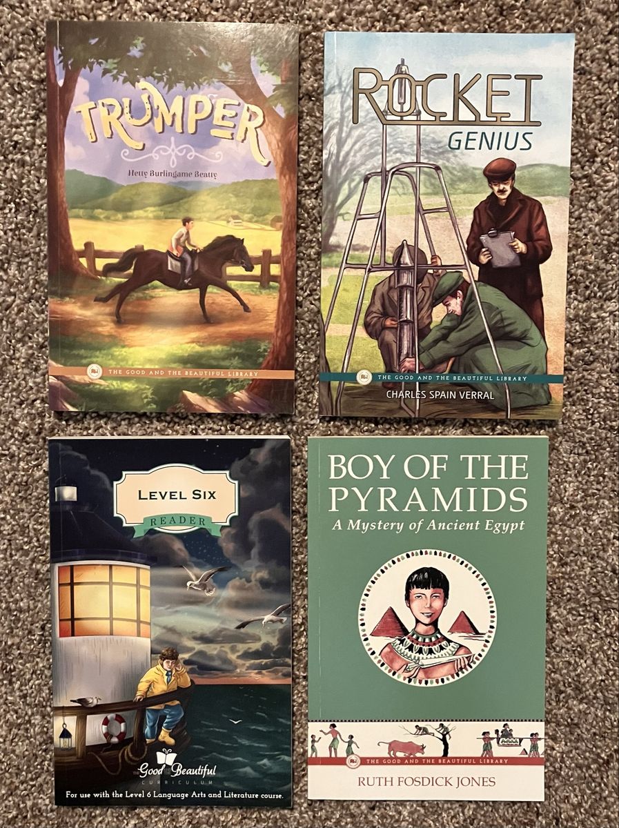 Lot of 10 The Good and the Beautiful Library Children's Books Level 6