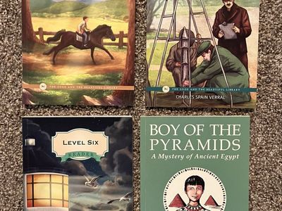 Lot of 10 The Good and the Beautiful Library Children's Books Level 6
