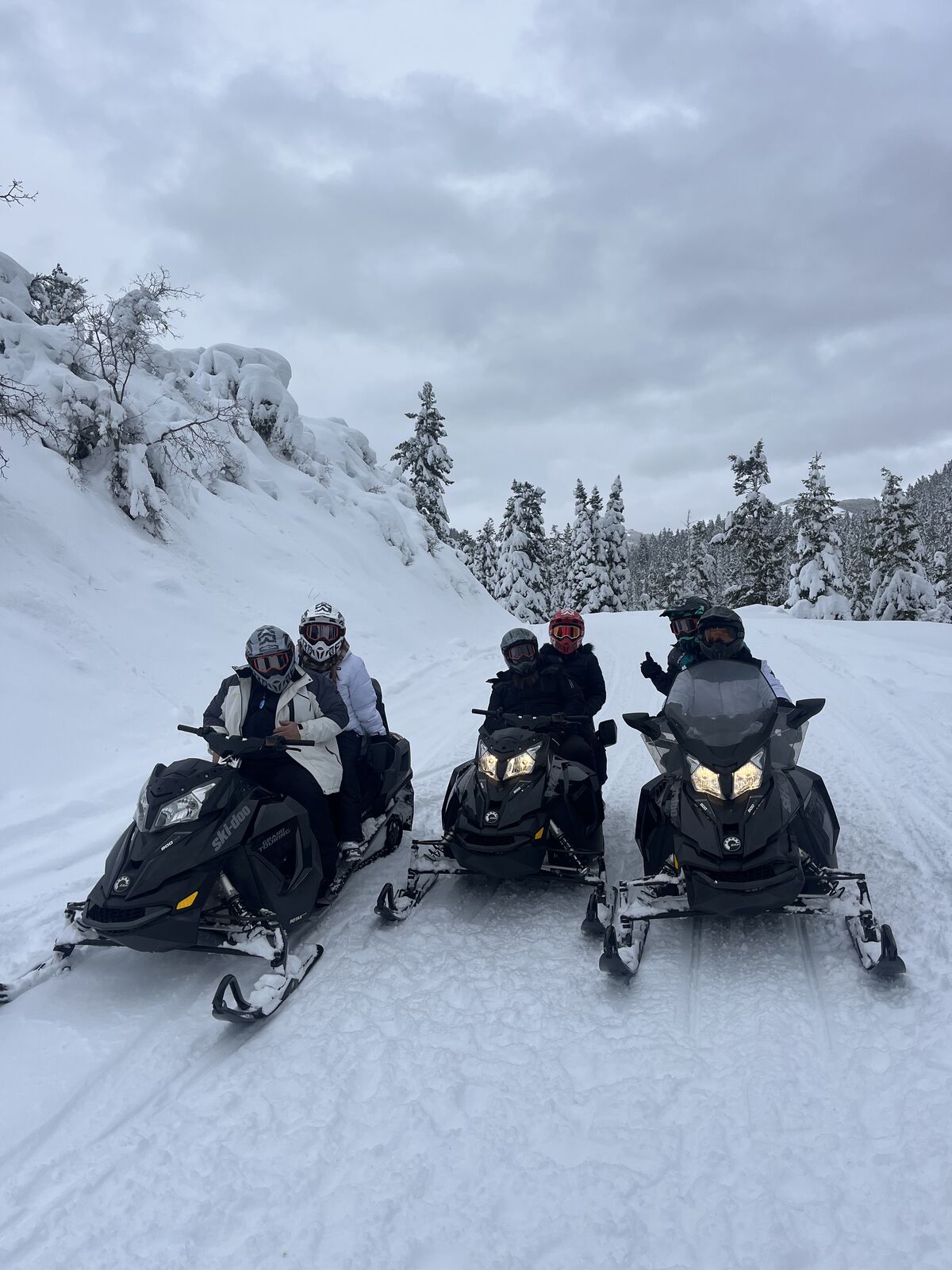 Snowmobiles For Rent