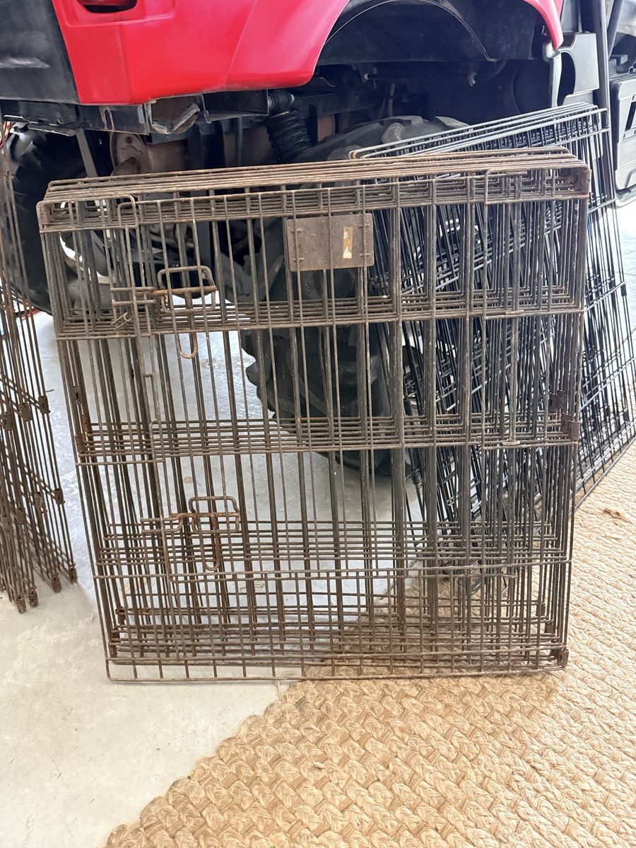 Dog fence (portable)
