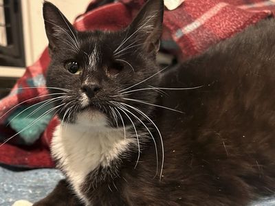 Hello my name is Lenore Magicflower