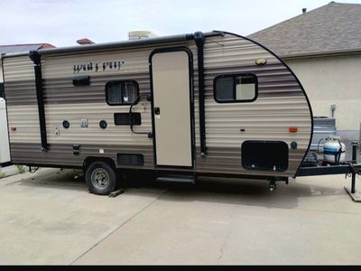 2018 forrest river Cherokee wolf pup