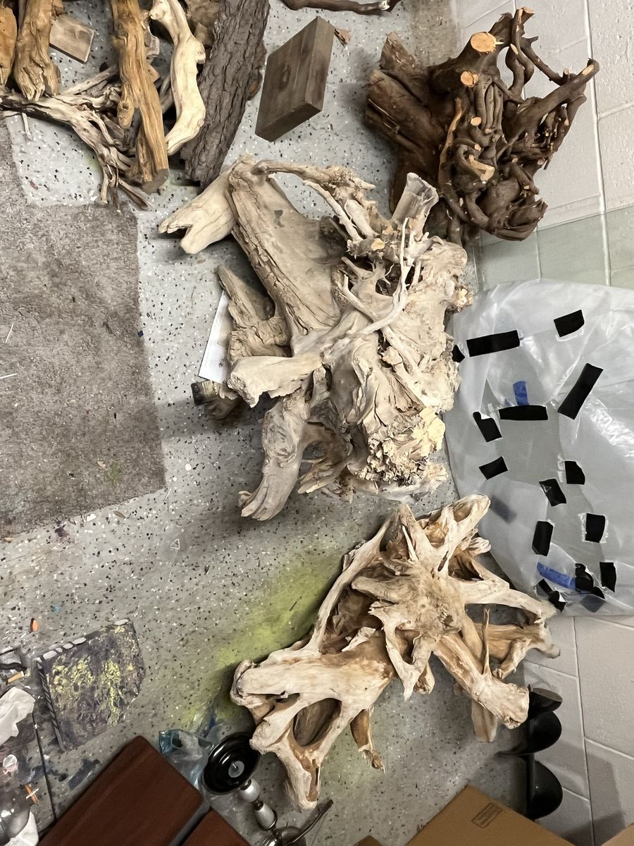 Large root bases