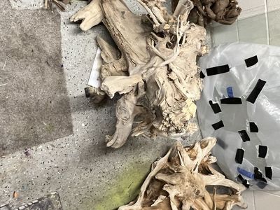 Large root bases