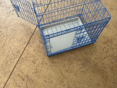 Pet Carrier Dog Crate - Blue Wire, Double Door, Collapsible, Kennel. 24 inches long x 17 inches wide x 20 inches tall.