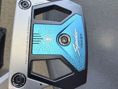 Taylormade Spider ZT New!