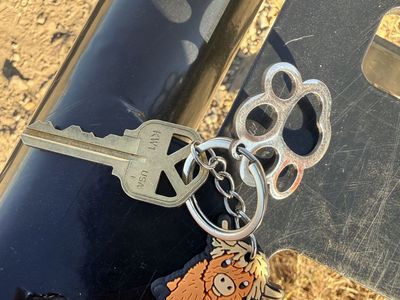 FOUND - Highland Cow Keychain with Metal Paw Print Charm - Butterfield Canyon
