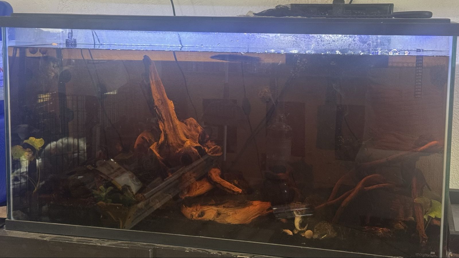 55 gallon fish tank-full set up