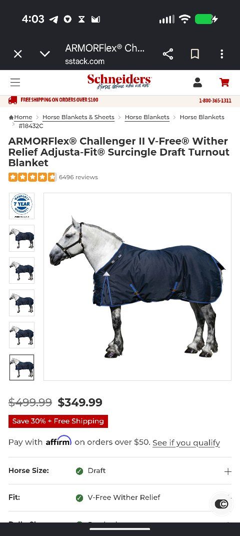 Draft Horse Blanket