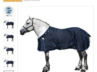 Draft Horse Blanket