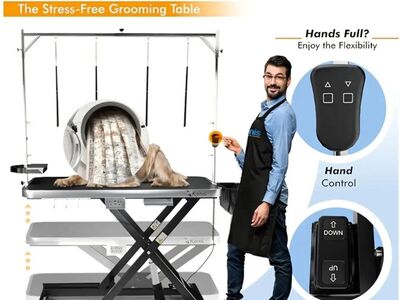 Professional Electric Dog Grooming Table