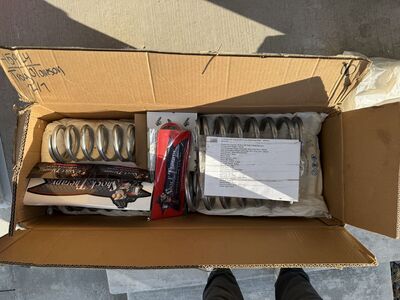 Shock Therapy Springs - Polaris Rzr 1000 Dynamix