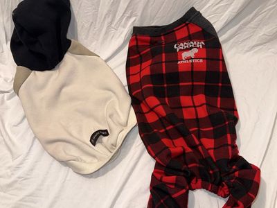 Dog Sweater And Hoodie