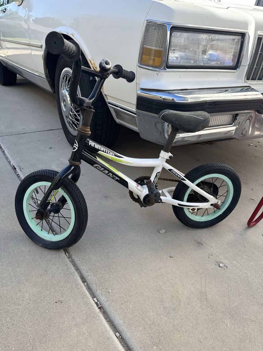 Giant Kids BIke