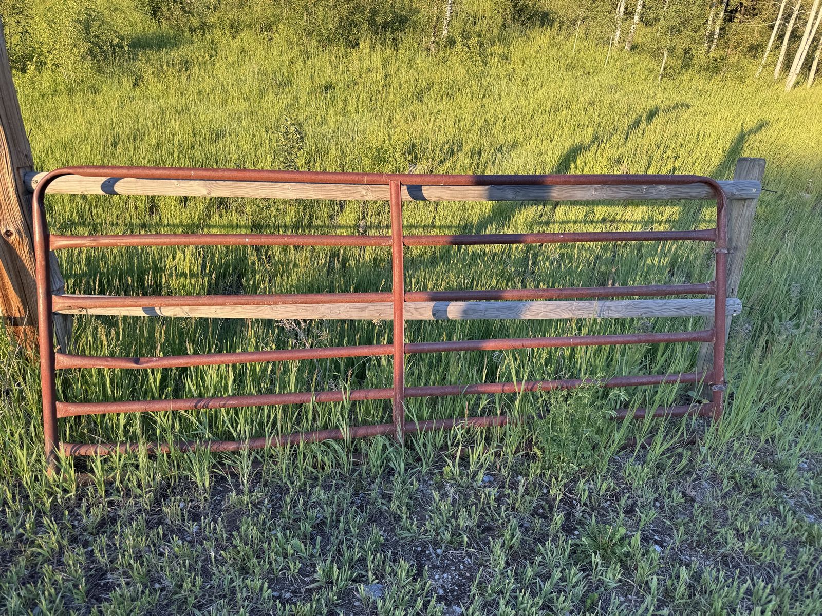 Cattle / Horse ranch gate 117" × 50"