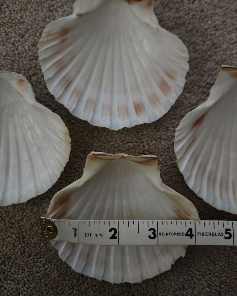 Main image 3