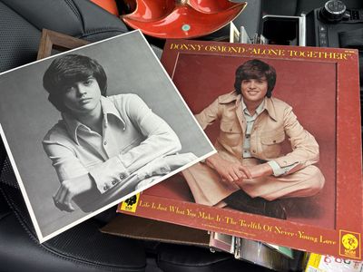 Big collection of Gordon Lightfoot , The Osmonds, The carpenters, Donny Osmond, Marie Osmond 12" vinyl LP records vintage