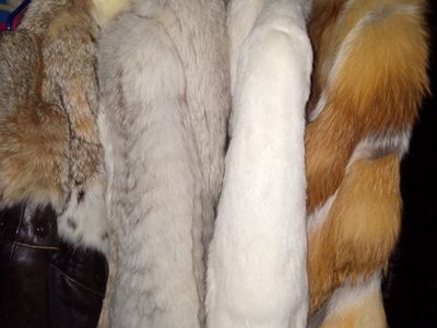 Luxurious Fox and Mink Fur Coats/Collars - Sizes M & L