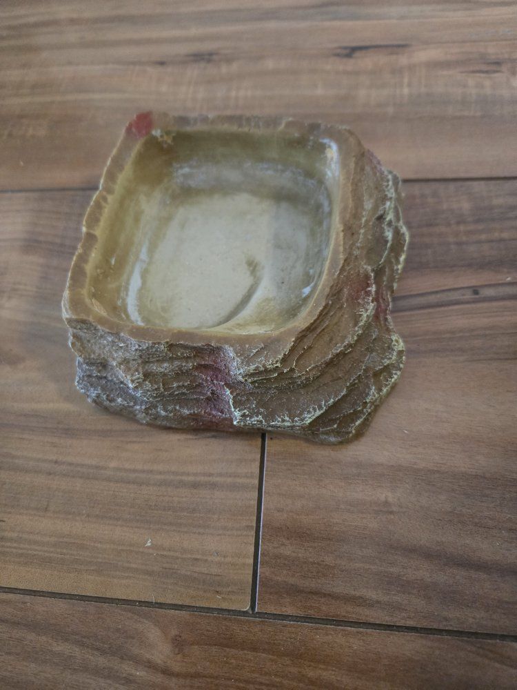 small reptile water dish