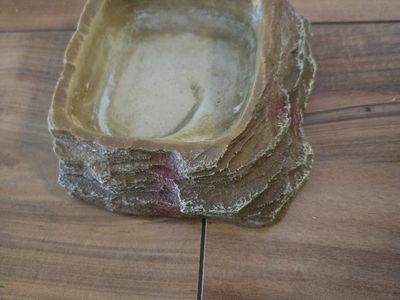 small reptile water dish