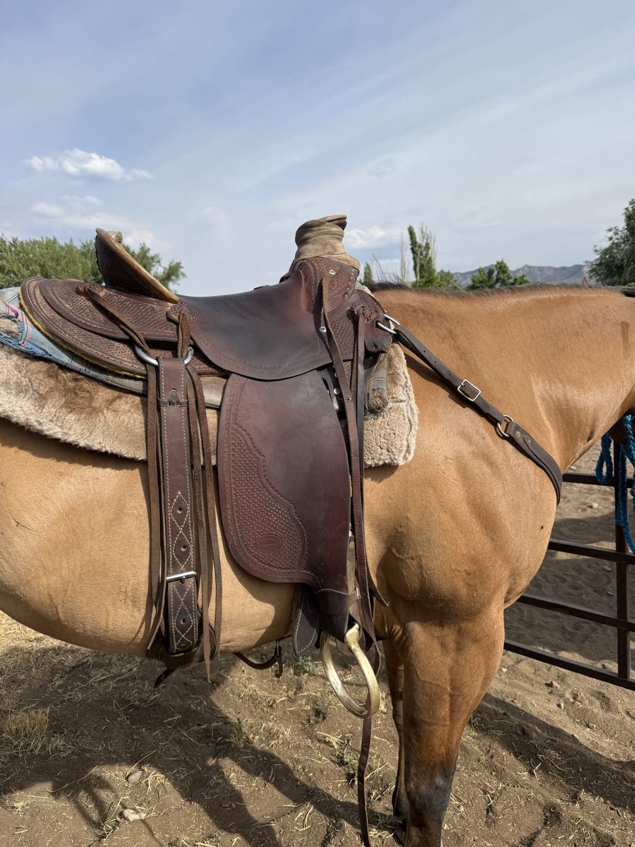 15in Wade saddle