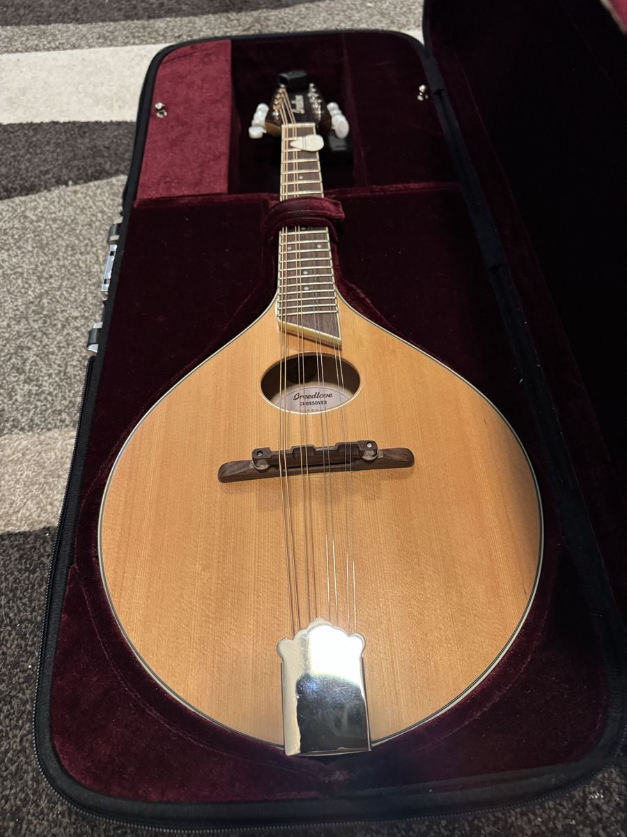 Breedlove Mandolin