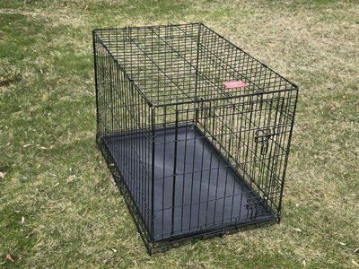36" Large Dog Kennel Metal CagePet Crate Folds