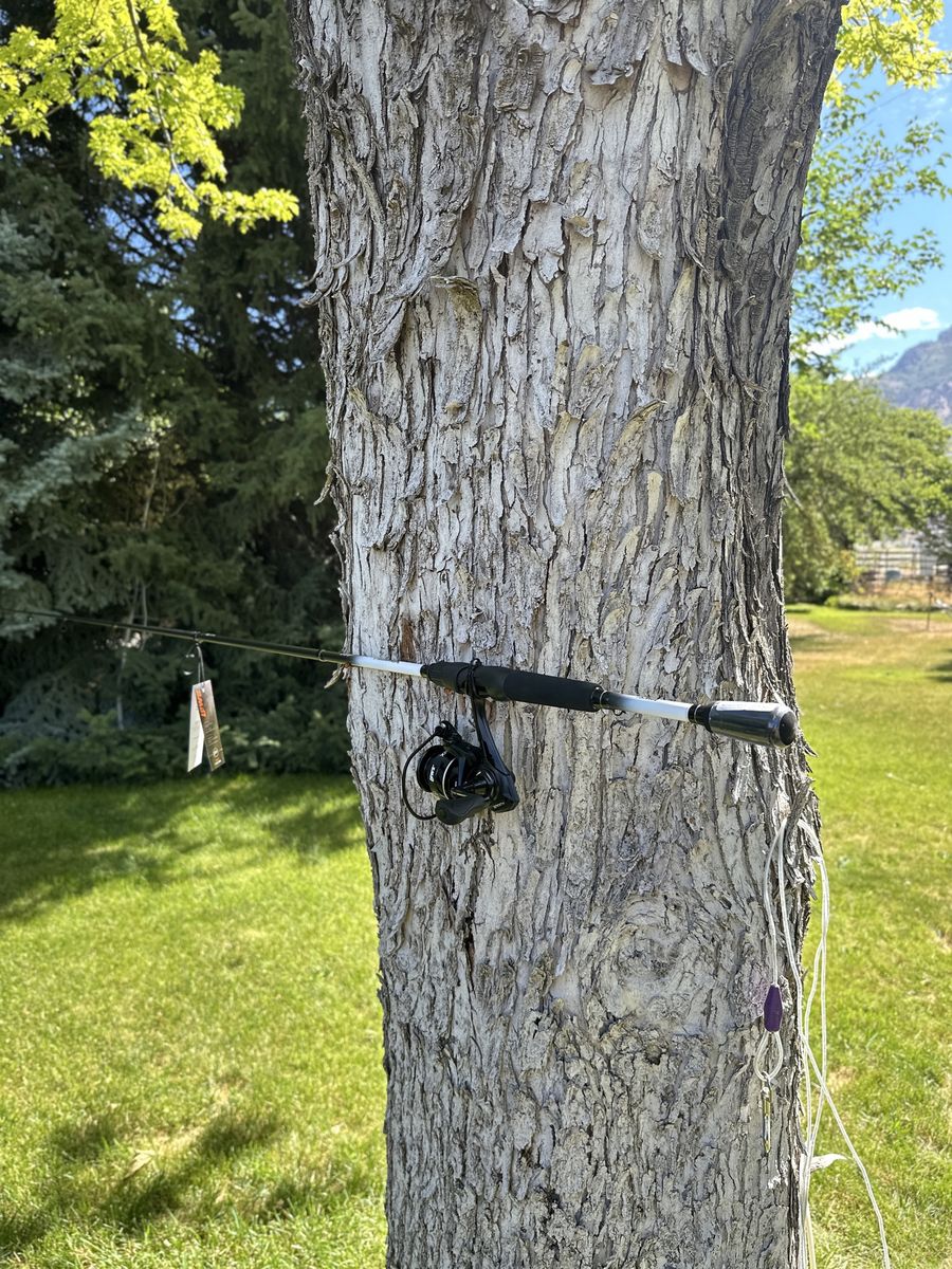 Lews affinity rod and reel combo 200 reel size